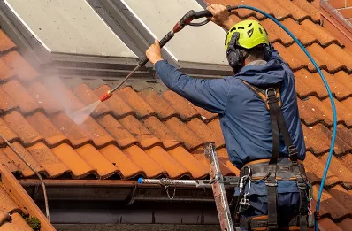 Démoussage et hydrofuge de toiture à Rimons